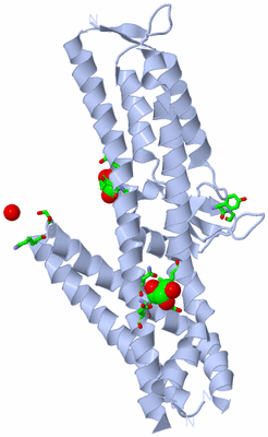 Image Biol. Unit 1 - sites