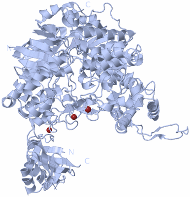 Image Biological Unit 1