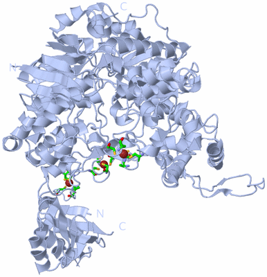 Image Biol. Unit 1 - sites