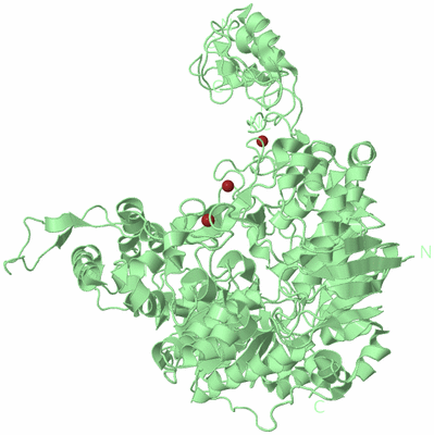 Image Biological Unit 2