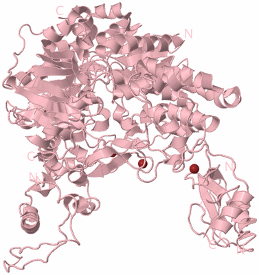 Image Biological Unit 3