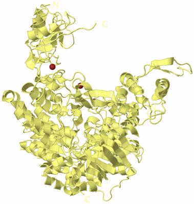 Image Biological Unit 4