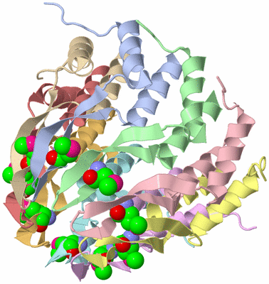 Image Biological Unit 1