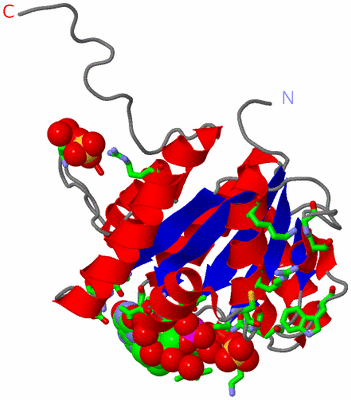 Image Asym. Unit - sites