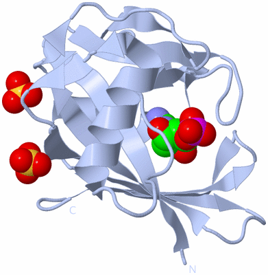 Image Biological Unit 1