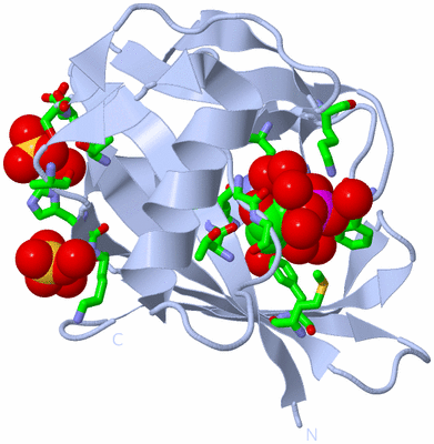 Image Biol. Unit 1 - sites