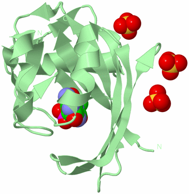 Image Biological Unit 2