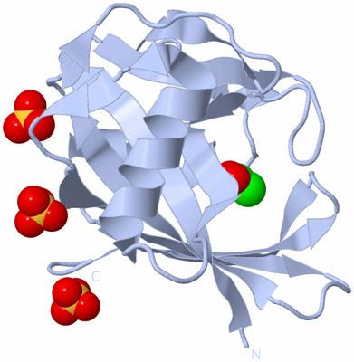 Image Biological Unit 1