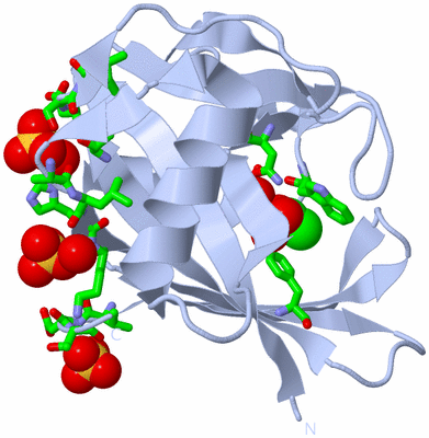 Image Biol. Unit 1 - sites