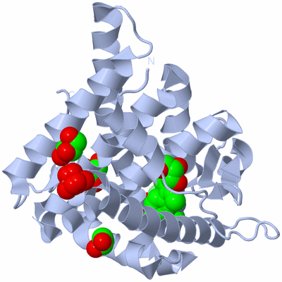 Image Biological Unit 1