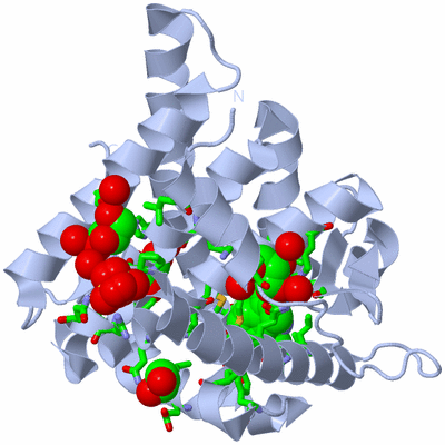 Image Biol. Unit 1 - sites