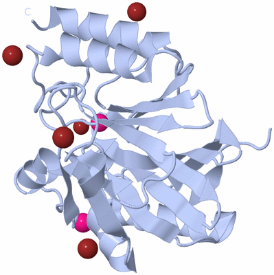 Image Biological Unit 1