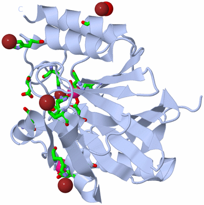 Image Biol. Unit 1 - sites