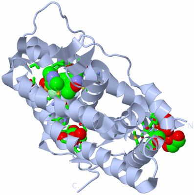 Image Biol. Unit 1 - sites