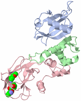 Image Biological Unit 1