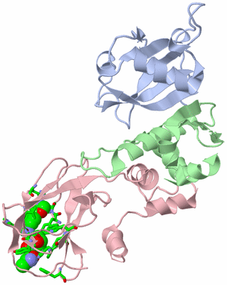 Image Biol. Unit 1 - sites