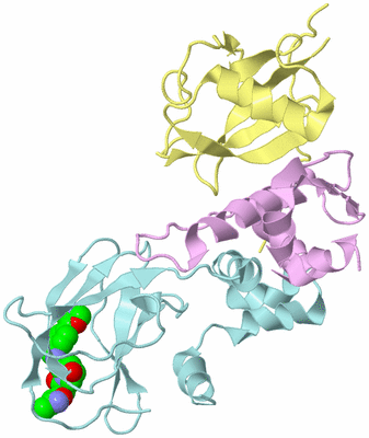 Image Biological Unit 2