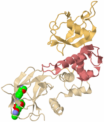 Image Biological Unit 3