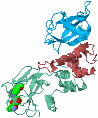 Image Biological Unit 4