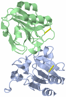 Image Asym./Biol. Unit