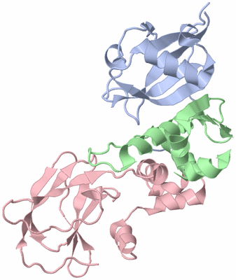 Image Biological Unit 1