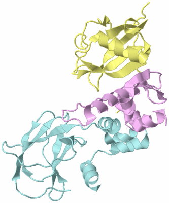 Image Biological Unit 2