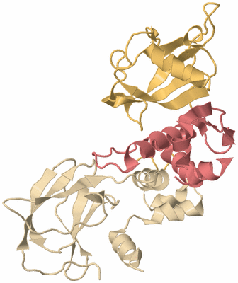 Image Biological Unit 3