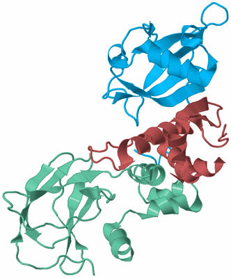 Image Biological Unit 4