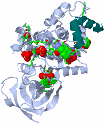 Image Biol. Unit 1 - sites