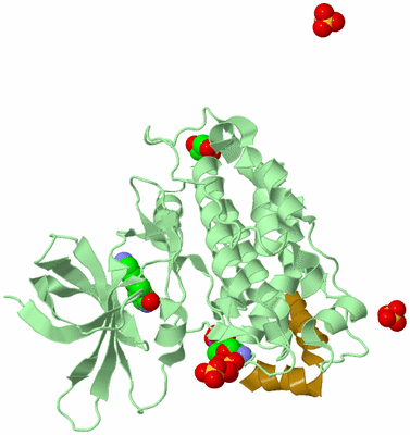 Image Biological Unit 2