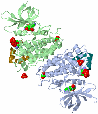 Image Asym./Biol. Unit