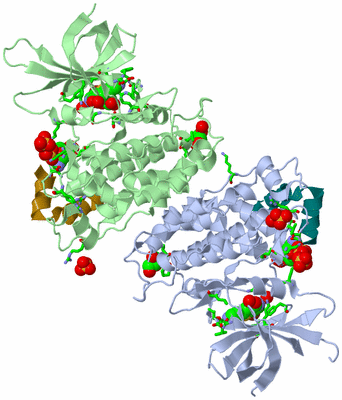 Image Asym./Biol. Unit - sites