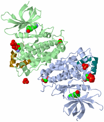 Image Asym./Biol. Unit