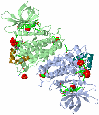 Image Asym./Biol. Unit - sites