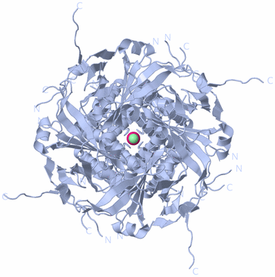 Image Biological Unit 1