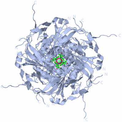 Image Biol. Unit 1 - sites