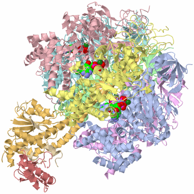 Image Biological Unit 1