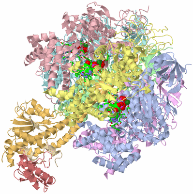 Image Biol. Unit 1 - sites