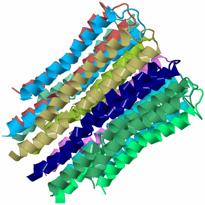 Image Biological Unit 2