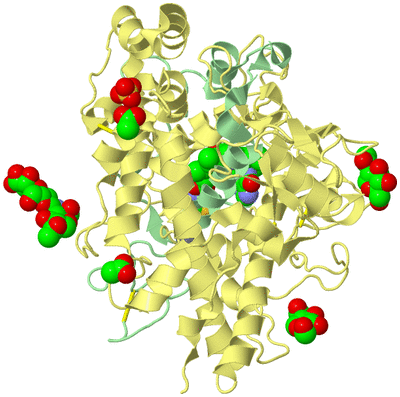 Image Biological Unit 1