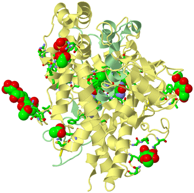 Image Biol. Unit 1 - sites