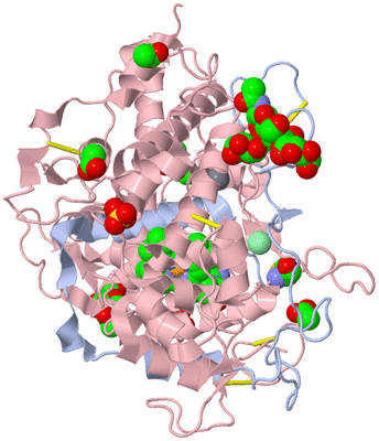 Image Biological Unit 2