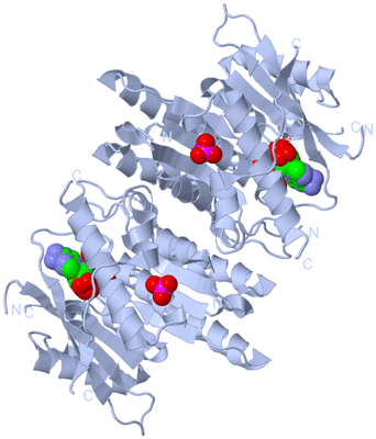 Image Biological Unit 1