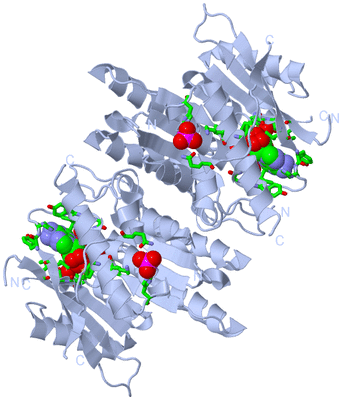 Image Biol. Unit 1 - sites