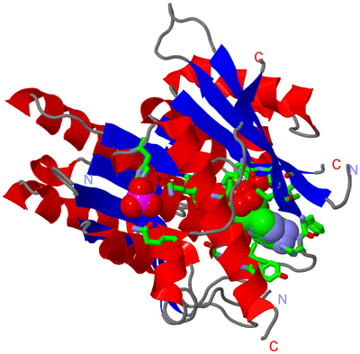 Image Asym. Unit - sites