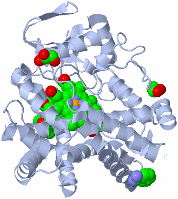 Image Biological Unit 1