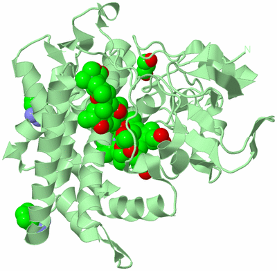 Image Biological Unit 2