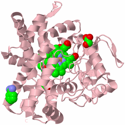 Image Biological Unit 3