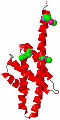 Image Asymmetric Unit