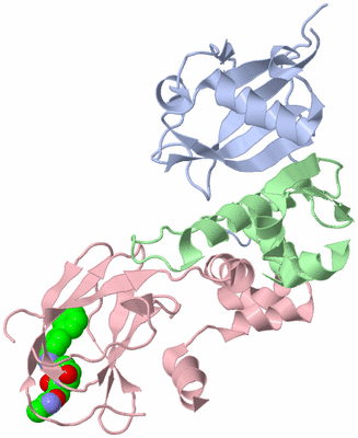 Image Biological Unit 1